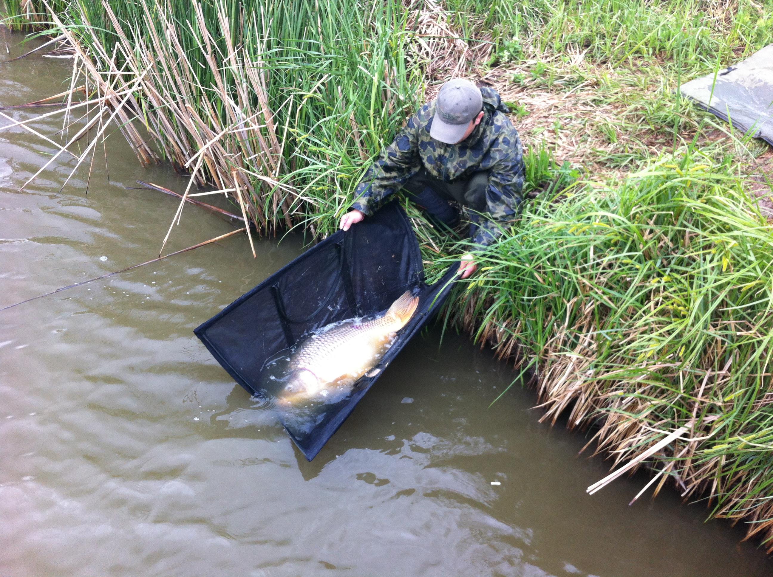 Magura 9 - IMG_0139.JPG